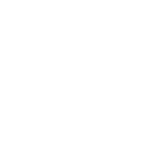 Certified NMSDC MBE